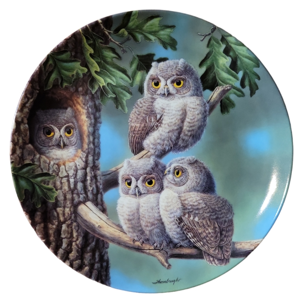 Vtg Plate Peek-A-Whoo:Screech Owls 1st Issue Baby Owls N. America #7044C